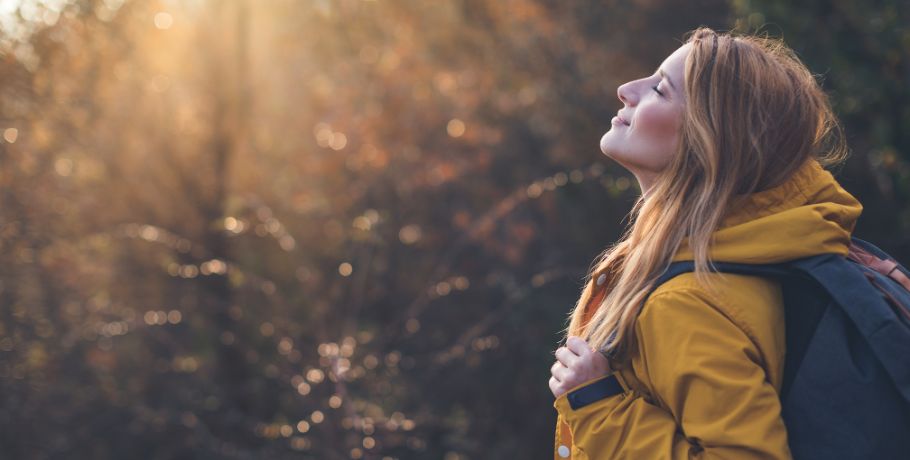 Todo sobre el boro (Boron)