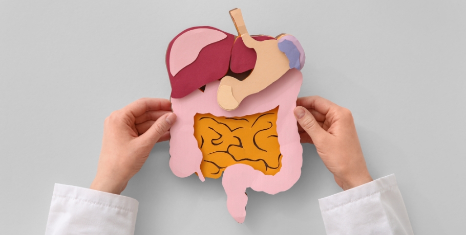 Bilis, absorción de grasas y vitaminas liposolubles – el eslabón olvidado de la digestión Bilis, absorción de grasas y vitaminas liposolubles – el eslabón olvidado de la digestión