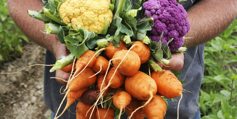 ¿Por qué hemos elegido MegaFood e Innate Response?