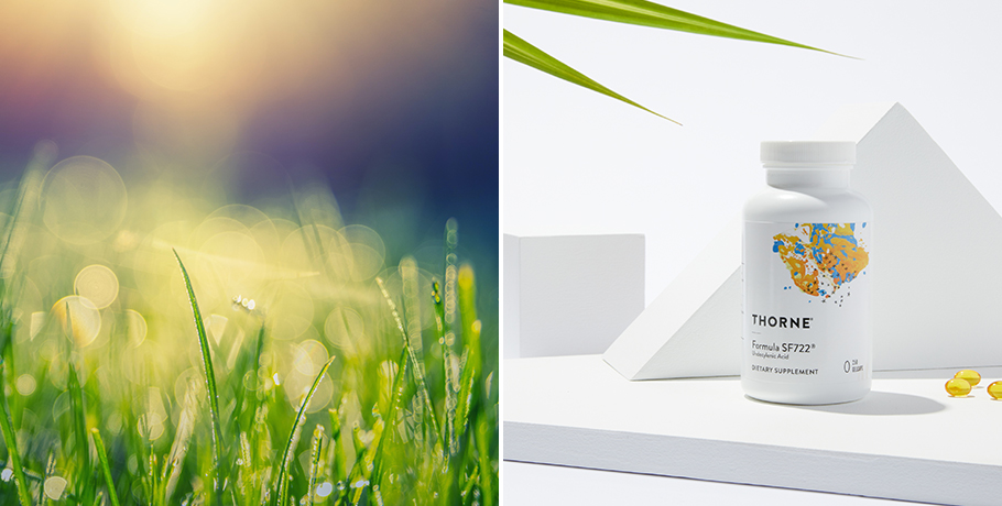 ¿Formula SF722 - el superalimento contra la Candida?